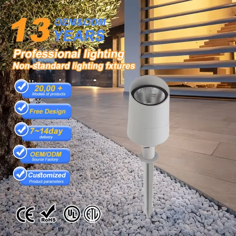 Led Flood Light - Самый популярный уличный светодиодный прожектор COB