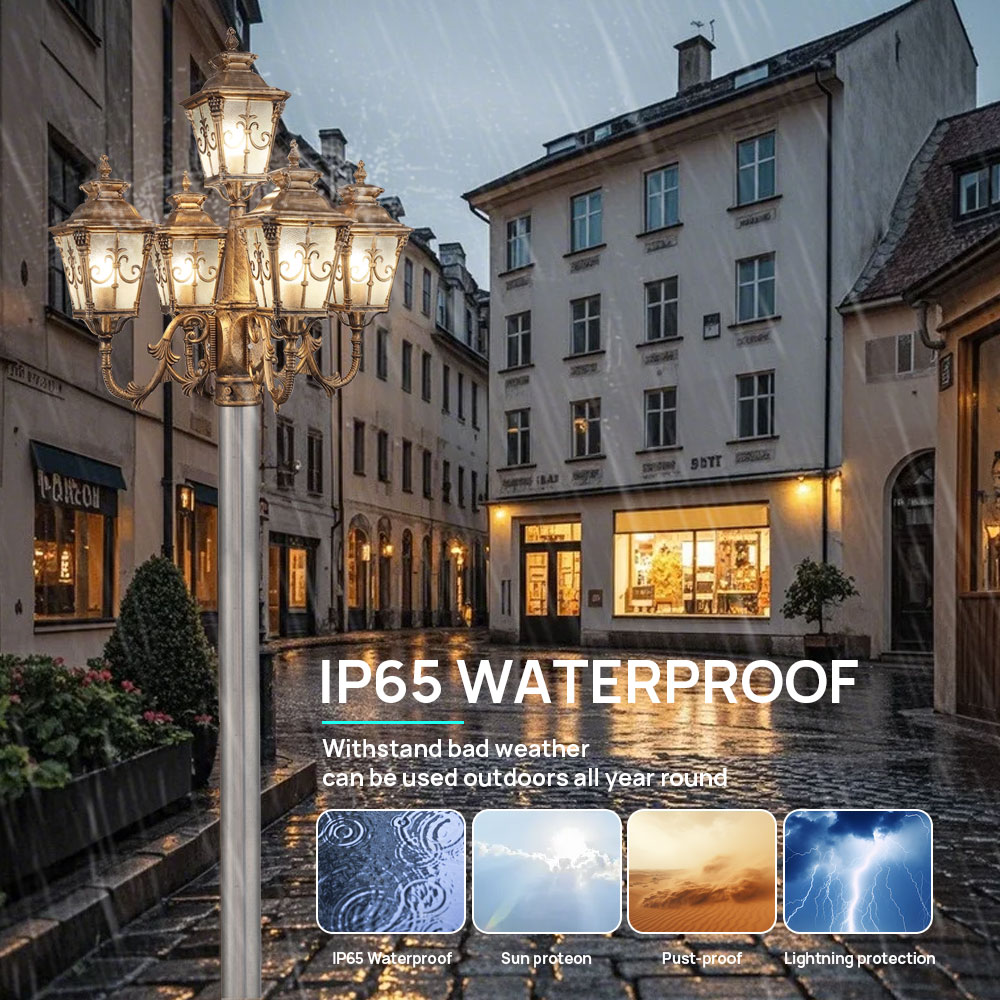 Настроить уличный 5-головочный – обзор и цена Outdoor Lighting Poles