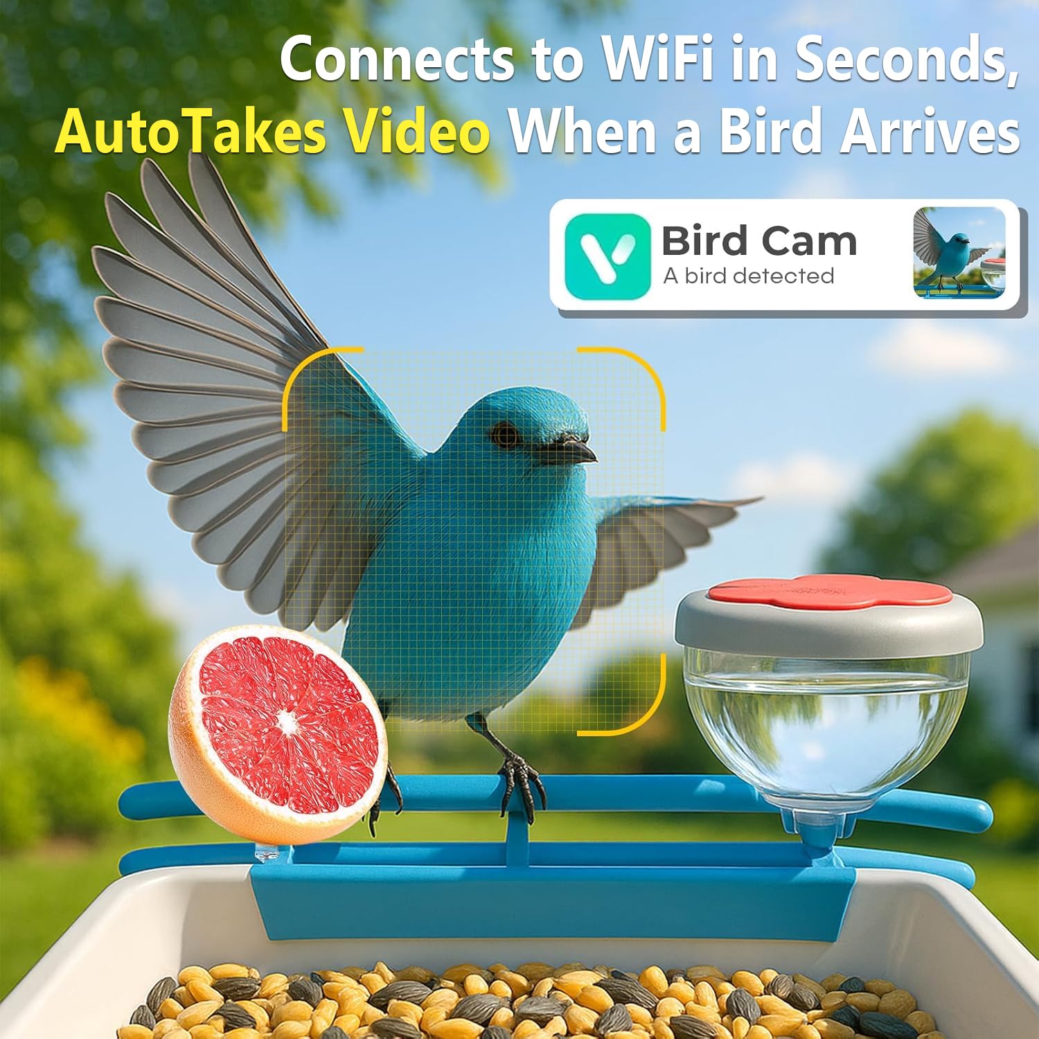 Умная камера-кормушка для птиц – обзор и цена Motion Sensor Outdoor